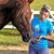 Ciara Mohan-Gustafson's profile image