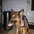 Jennifer Worzalla Getts's profile image