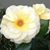 Jaki Hamilton Brown's profile image