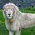 Leticia Escobar's profile image