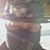 Travis Wigal's profile image