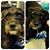 Gail Bantugan's profile image