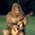 Steve Ettrich's profile image