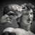 Francisco Flores's profile image