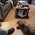 Sharon Ackley's profile image