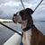 Kathleen Anderson's profile image