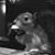 Tom Somyak's profile image