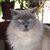Kimberly McMahan's profile image