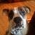 Mary Yerby's profile image