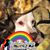 Shanda Thornton Bailey's profile image