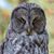 Alan Greene's profile image