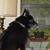 Shad Smith's profile image