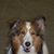 Sue McCambridge's profile image