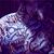 Josh Munson's profile image