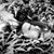 Rachel McKaughan's profile image