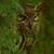 Jacqueline Reddick Krahl's profile image