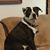 Dereck Middleton's profile image