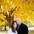 Lyssa Whatley's profile image