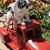 Kay L. Dickey's profile image