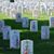 Cheryl Scheeler's profile image