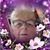 Vicki Bowersock Baird's profile image