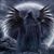 Joseph Murray's profile image