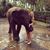 Michelle Caiazzo's profile image