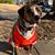 Debi Wodraska's profile image
