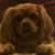 Shannon Kearns's profile image