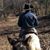 Cam Bearden's profile image
