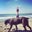 Emily Maley's profile image