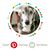 Jude Anne Gossin's profile image