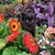 Rebecca Cassidy's profile image
