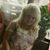 Debbie Chavis Clevenger's profile image