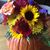 Evelyn Dorsey Johnston's profile image