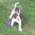 Helen Todd's profile image