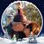 Sofia Sandoval-Wyant's profile image