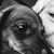 Bonnie Thomson's profile image