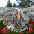 Thomas Pennell's profile image