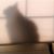 Laura Shadel Lock's profile image