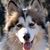 Kathy Bartu's profile image