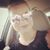 Arica Hester's profile image