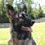 Susan Laflamme's profile image