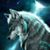 Jose Eduardo's profile image