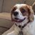 Tami Nelson's profile image