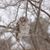 Tiffany Wheeler Hoag's profile image