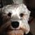 Norma Gallego Galindo's profile image