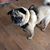 Linda Harrell Bankston's profile image