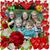 Ginger Bingham's profile image
