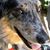 Doug Hase's profile image
